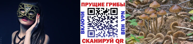 Галлюциногенные грибы ЛСД  Кола 