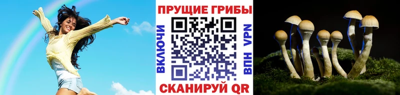 Псилоцибиновые грибы MAGIC MUSHROOMS Кола